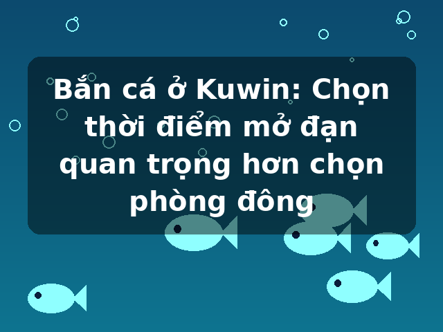 Bắn cá ở Kuwin: Chọn thời điểm mở đạn quan trọng hơn chọn phòng đông